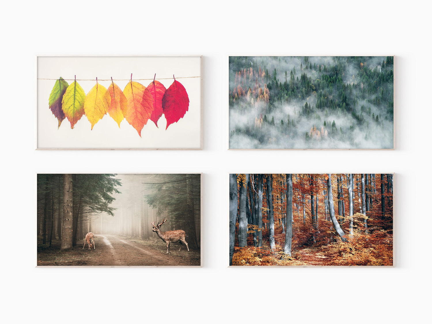 Frame TV Autumn