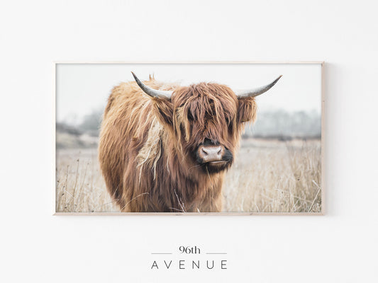 Highland Cow Frame TV Art | Rustic Farm Animal Photo | Instant Download