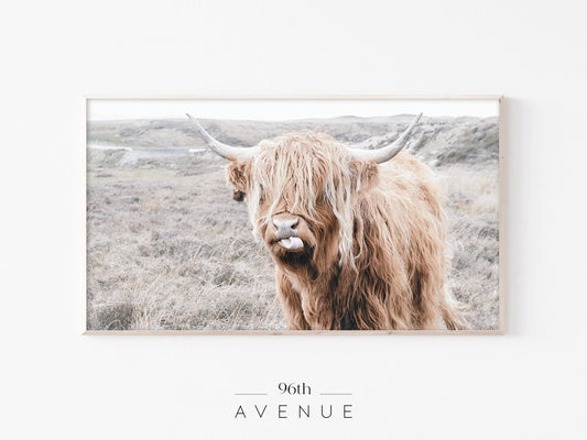 Highland Cow Frame TV Art | Minimal Farm Animal Photo | Instant Download