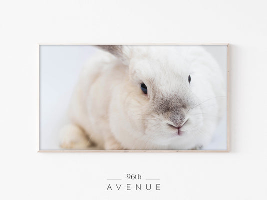 Bunny Frame TV Art | Soft Animal Portrait Photo | Instant Download