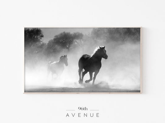 Running Horses Frame TV Art | Black and White Photo | Instant Download
