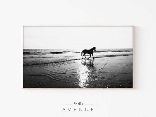 Horse Beach Frame TV Art | Black and White Coastal | Instant Download