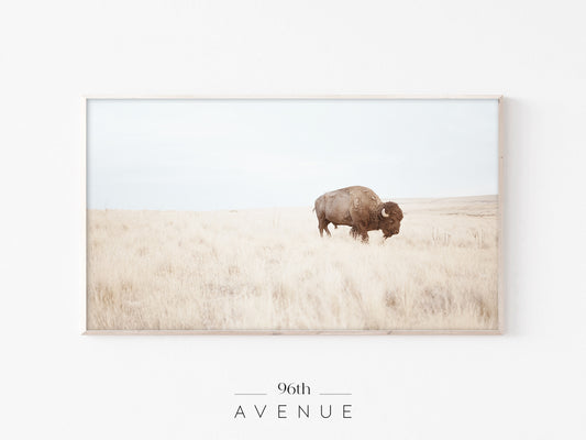 Bison Prairie Frame TV Art | Neutral Wildlife Landscape | Instant Download