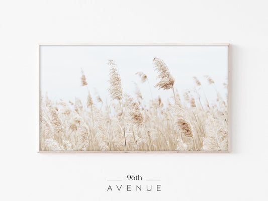 Pampas Grass Field Frame TV Art | Neutral Nature Photography | Instant Download