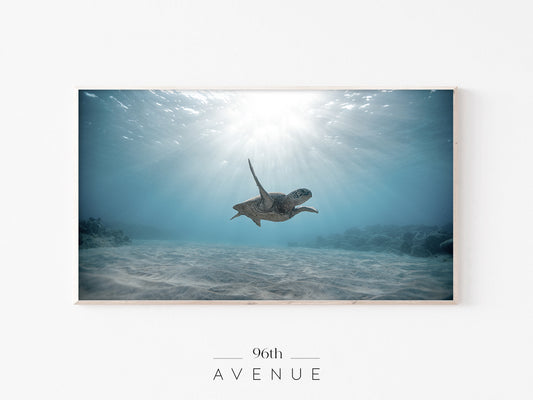 Sea Turtle Ocean Frame TV Art | Underwater Coastal Photo | Instant Download