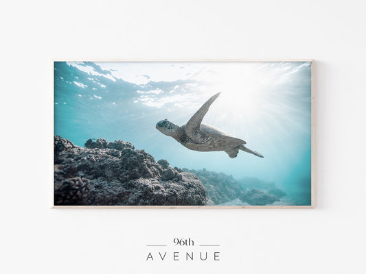 Sea Turtle Reef Frame TV Art | Underwater Ocean Scene | Instant Download
