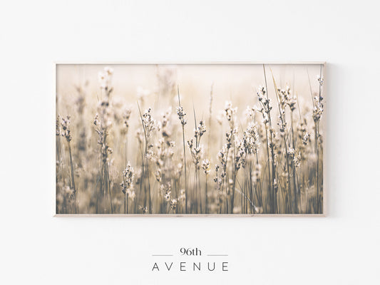 Wild Grass Field Frame TV Art | Neutral Nature Wall Decor | Instant Download