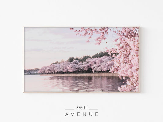 Cherry Blossom Lake Frame TV Art | Sakura Landscape | Soft Pink Spring Nature Scene | Instant Download
