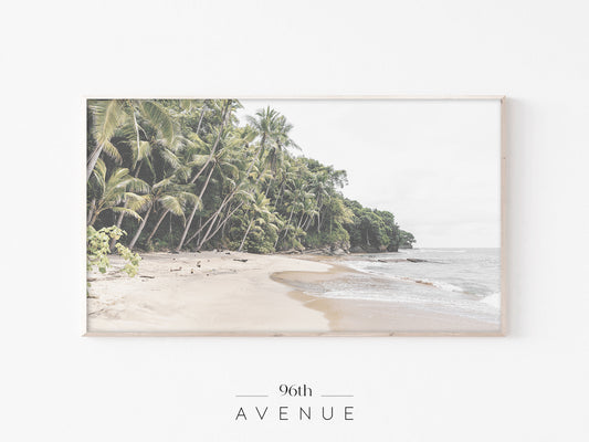 Tropical Beach Frame TV Art | Palm Coast Landscape | Instant Download