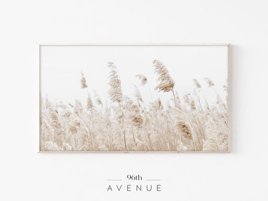 Beige Reed Field Frame TV Art | Neutral Minimal Nature | Instant Download