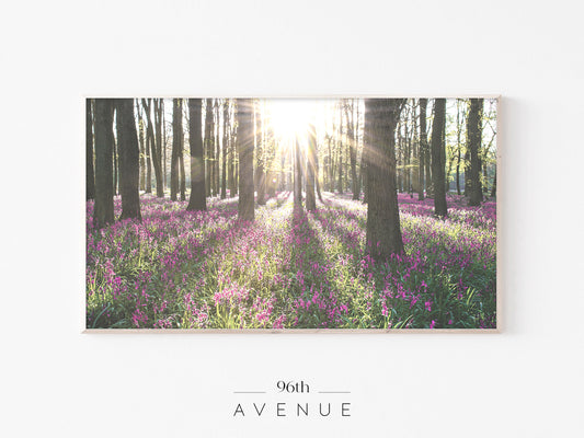 Forest Wildflower Frame TV Art | Spring Woodland Scene | Instant Download