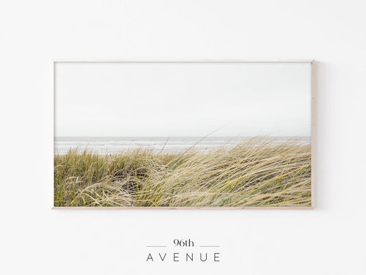 Coastal Grass Frame TV Art | Neutral Beach Landscape Minimal Instant Download