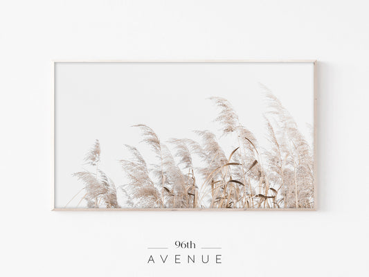 Pampas Grass | Neutral Minimal Frame TV Art | Instant Download