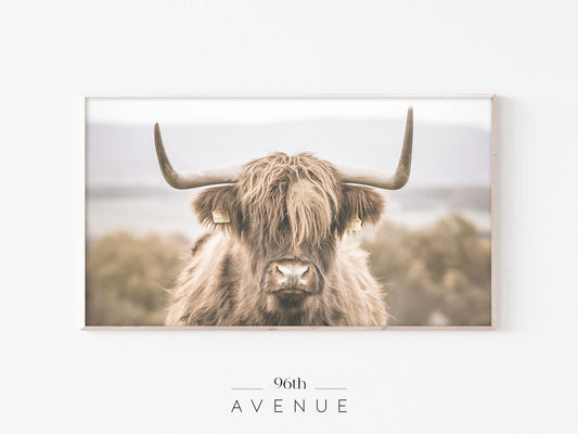 Highland Cow Frame TV Art | Rustic Farmhouse Wall Decor | Neutral Country Aesthetic - Instant Download