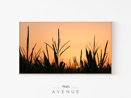 Cornfield Sunset Silhouette | Golden Hour Frame TV Art | Instant Download