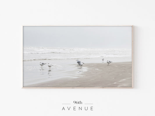 Seagulls Shoreline Scene | Minimal Beach Frame TV Art | Instant Download